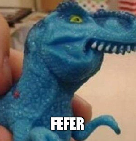 FEFER project logo